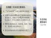 3.5 生态系统的稳定性-高二生物同步精品课件（人教版选择性必修第二册）