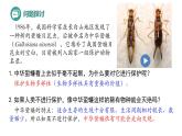 4.2 生物多样性及其保护-高二生物同步精品课件（人教版选择性必修第二册）