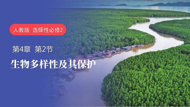 4.2 生物多样性及其保护-2023-2024学年高二生物同步精品课件（人教版选择性必修第二册）第2页