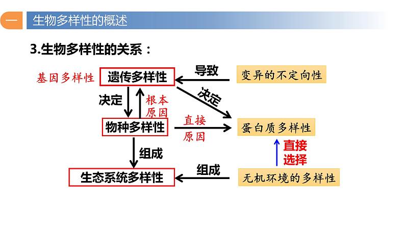 4.2 生物多样性及其保护-2023-2024学年高二生物同步精品课件（人教版选择性必修第二册）第8页