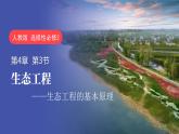 4.3+生态工程（第一课时）-高二生物同步精品课件（人教版选择性必修第二册）
