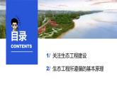 4.3+生态工程（第一课时）-高二生物同步精品课件（人教版选择性必修第二册）