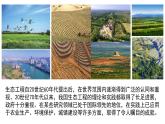 4.3+生态工程（第二课时）-高二生物同步精品课件（人教版选择性必修第二册）