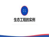 4.3+生态工程（第二课时）-高二生物同步精品课件（人教版选择性必修第二册）