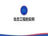 4.3+生态工程（第二课时）-2023-2024学年高二生物同步精品课件（人教版选择性必修第二册）