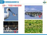 1.1 种群的数量特征（名师精讲课件）-2023-2024学年高二生物同步精品课件（人教版选择性必修第二册）