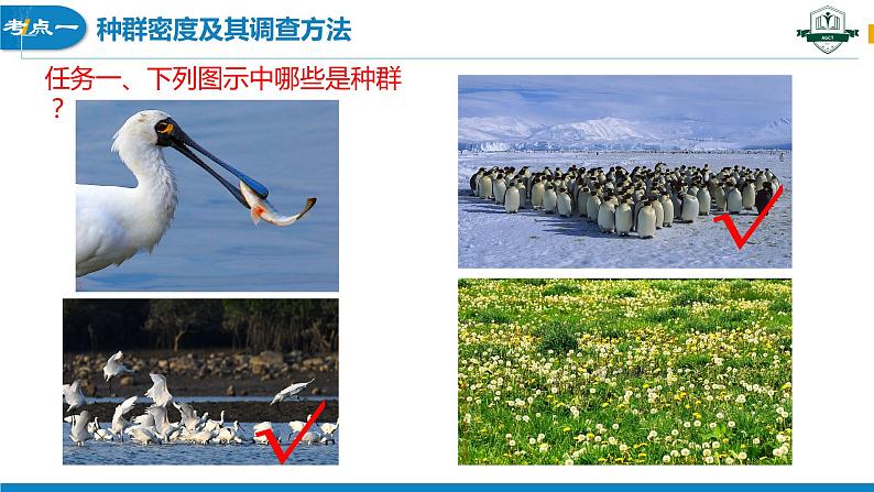 1.1 种群的数量特征（名师精讲课件）-2023-2024学年高二生物同步精品课件（人教版选择性必修第二册）04