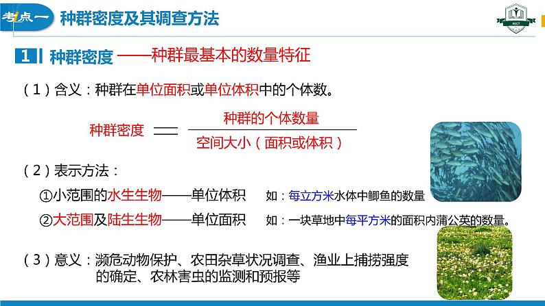 1.1 种群的数量特征（名师精讲课件）-2023-2024学年高二生物同步精品课件（人教版选择性必修第二册）06