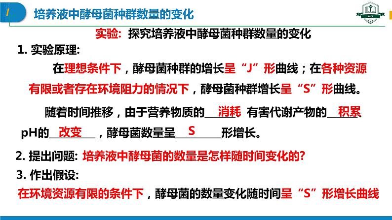 1.2.2 培养液中酵母菌种群数量的变化（名师精讲课件）-2023-2024学年高二生物同步精品课件（人教版选择性必修第二册）第3页