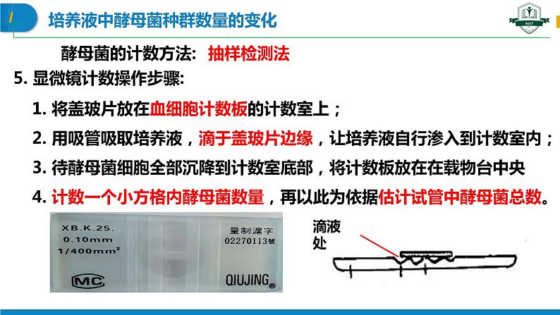 1.2.2 培养液中酵母菌种群数量的变化（名师精讲课件）-2023-2024学年高二生物同步精品课件（人教版选择性必修第二册）第5页