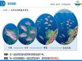 2.1.1 群落的物种组成及种间关系（名师精讲课件）-2023-2024学年高二生物同步精品课件（人教版选择性必修第二册）