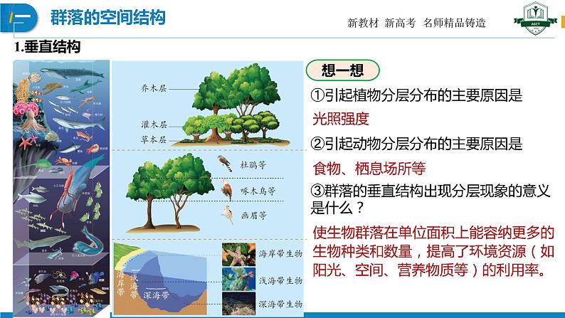 2.1.2 群落的物种组成及种间关系（名师精讲课件）-2023-2024学年高二生物同步精品课件（人教版选择性必修第二册）04