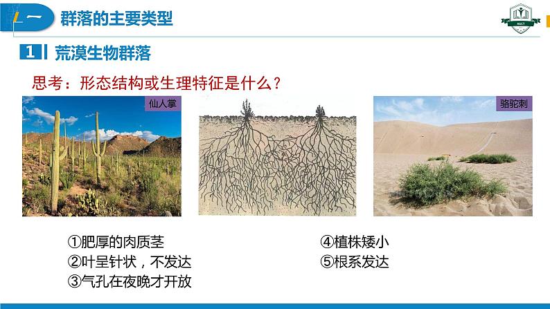 2.2 群落的主要类型（名师精讲课件）-2023-2024学年高二生物同步精品课件（人教版选择性必修第二册）第7页