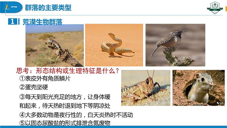 2.2 群落的主要类型（名师精讲课件）-2023-2024学年高二生物同步精品课件（人教版选择性必修第二册）第8页