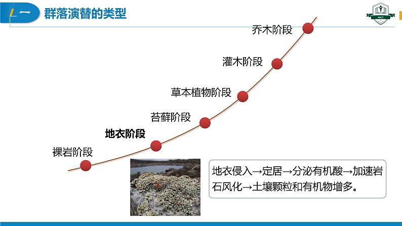 2.3 群落的演替（名师精讲课件）-2023-2024学年高二生物同步精品课件（人教版选择性必修第二册）第6页