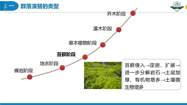 2.3 群落的演替（名师精讲课件）-2023-2024学年高二生物同步精品课件（人教版选择性必修第二册）第7页