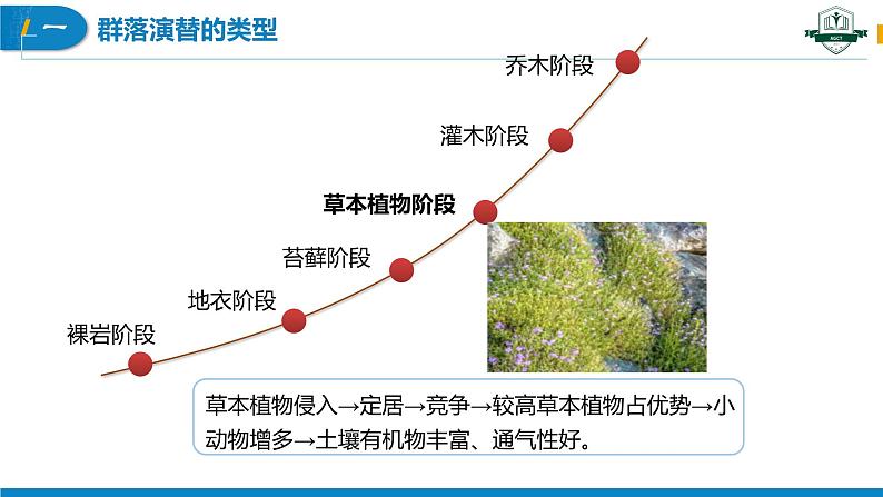 2.3 群落的演替（名师精讲课件）-2023-2024学年高二生物同步精品课件（人教版选择性必修第二册）第8页