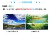 3.1 生态系统的结构（名师精讲课件）-2023-2024学年高二生物同步精品课件（人教版选择性必修第二册）