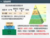 3.2.2 生态系统的能量流动（第2课时 生态金字塔和研究能量流动的实践意义）（名师精讲课件）-2023-2024学年高二生物同步精品课件（人教版选择性必修第二册）