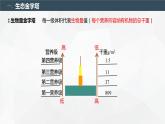 3.2.2 生态系统的能量流动（第2课时 生态金字塔和研究能量流动的实践意义）（名师精讲课件）-2023-2024学年高二生物同步精品课件（人教版选择性必修第二册）