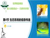 3.4+生态系统的信息传递（名师精讲课件）-2023-2024学年高二生物同步精品课件（人教版选择性必修第二册）