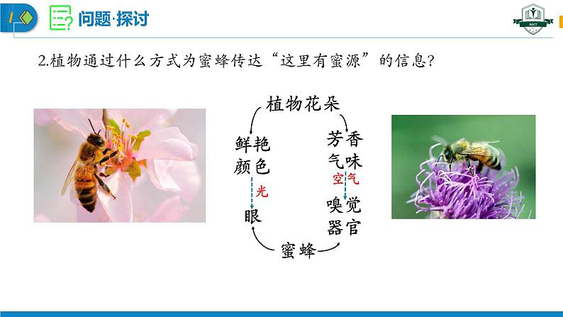 3.4+生态系统的信息传递（名师精讲课件）-2023-2024学年高二生物同步精品课件（人教版选择性必修第二册）第4页