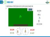 3.4+生态系统的信息传递（名师精讲课件）-2023-2024学年高二生物同步精品课件（人教版选择性必修第二册）