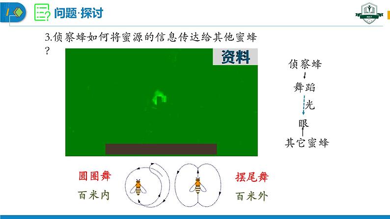 3.4+生态系统的信息传递（名师精讲课件）-2023-2024学年高二生物同步精品课件（人教版选择性必修第二册）第5页