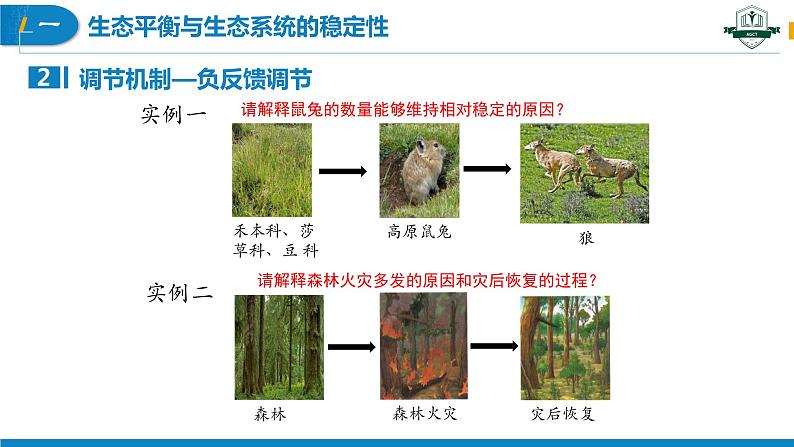 3.5 生态系统的稳定性（名师精讲课件）-2023-2024学年高二生物同步精品课件（人教版选择性必修第二册）第8页