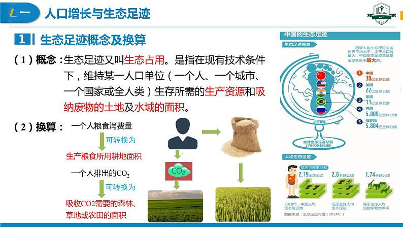 4.1 人类活动对生态环境的影响（名师精讲课件）-2023-2024学年高二生物同步精品课件（人教版选择性必修第二册）第5页