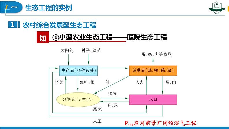 4.3+生态工程(第2课时)（名师精讲课件）-2023-2024学年高二生物同步精品课件（人教版选择性必修第二册）07