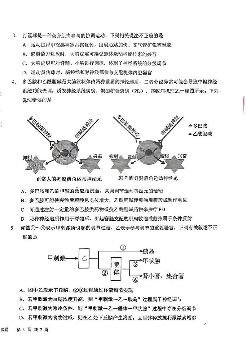 吉林省长春市吉大附中实验学校2023-2024学年高二上学期1月期末生物试题02