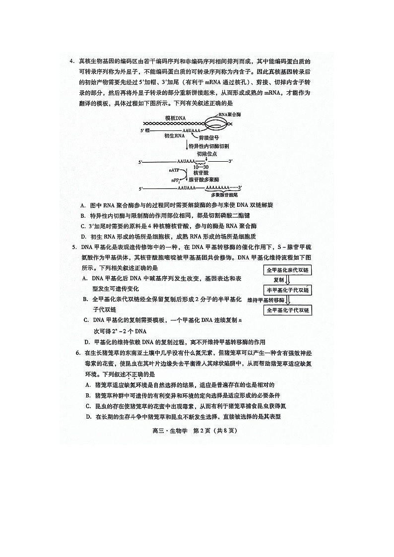 广东省揭阳市2023-2024学年高三上学期期末调考生物科试卷第2页