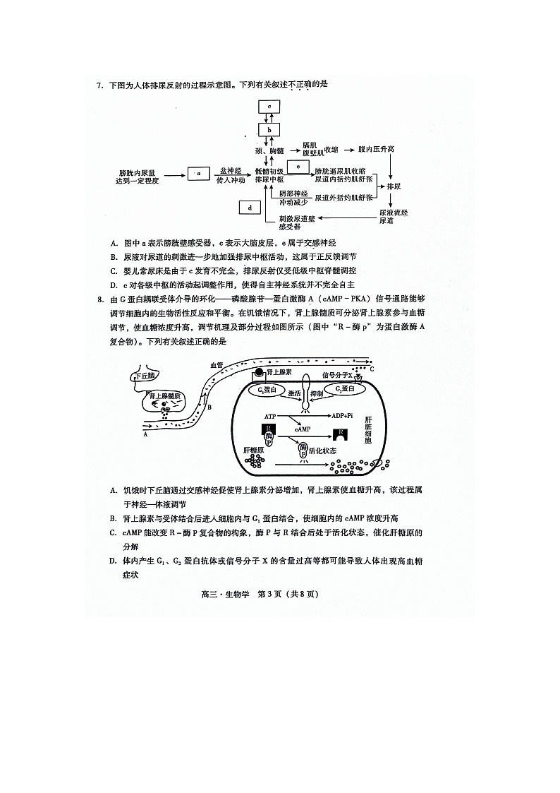 广东省揭阳市2023-2024学年高三上学期期末调考生物科试卷第3页