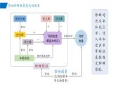 人教版+高中+生物+选择性必修二+1.3影响种群数量变化的因素+课件