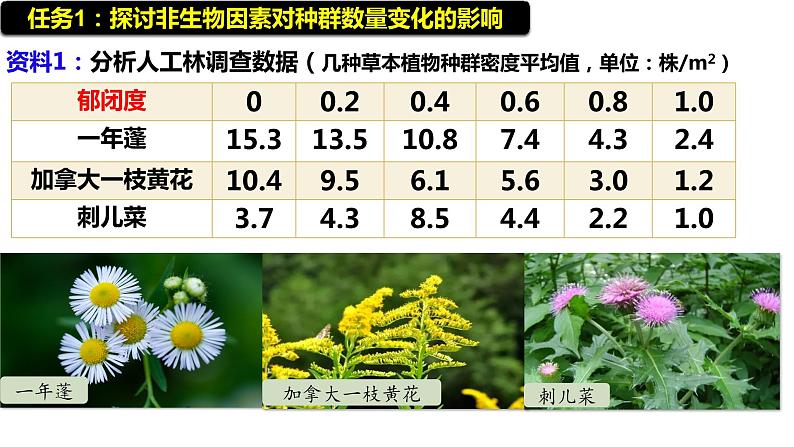 人教版+高中+生物+选择性必修二+1.3影响种群数量变化的因素+课件第6页