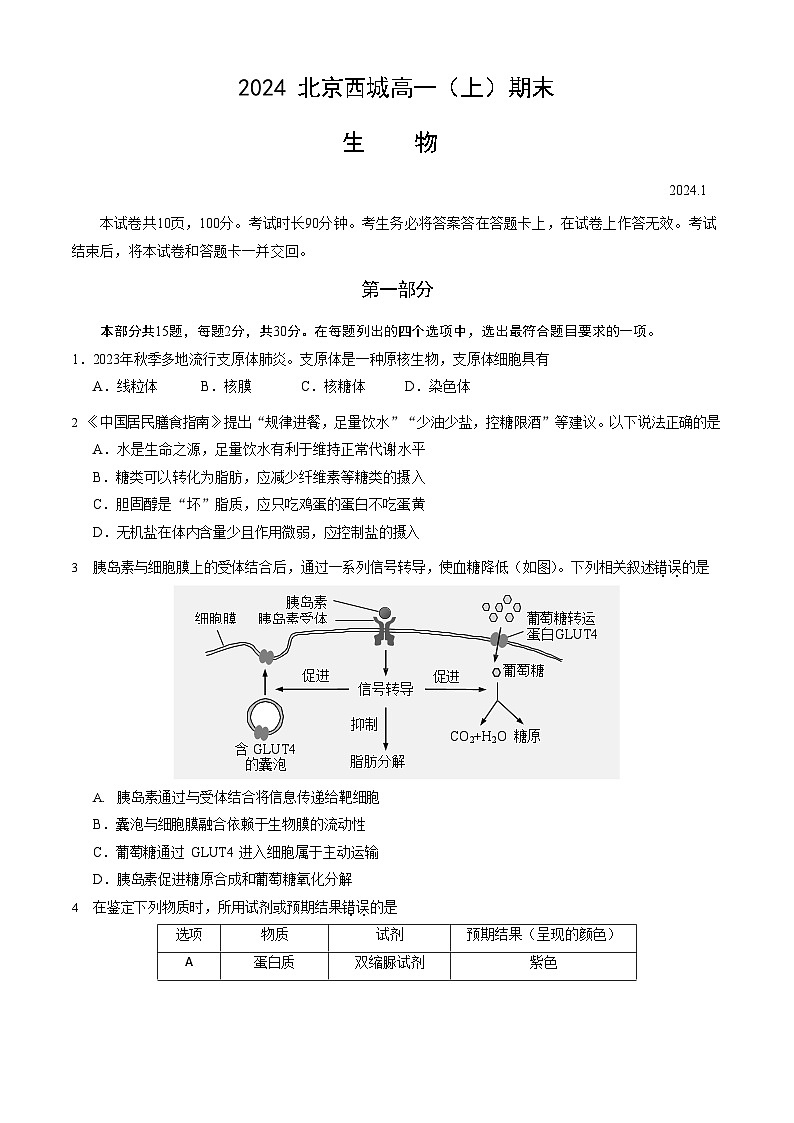 2023-2024学年北京西城区高一上学期期末生物试题及答案01