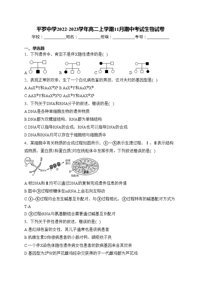 平罗中学2022-2023学年高二上学期11月期中考试生物试卷(含答案)第1页