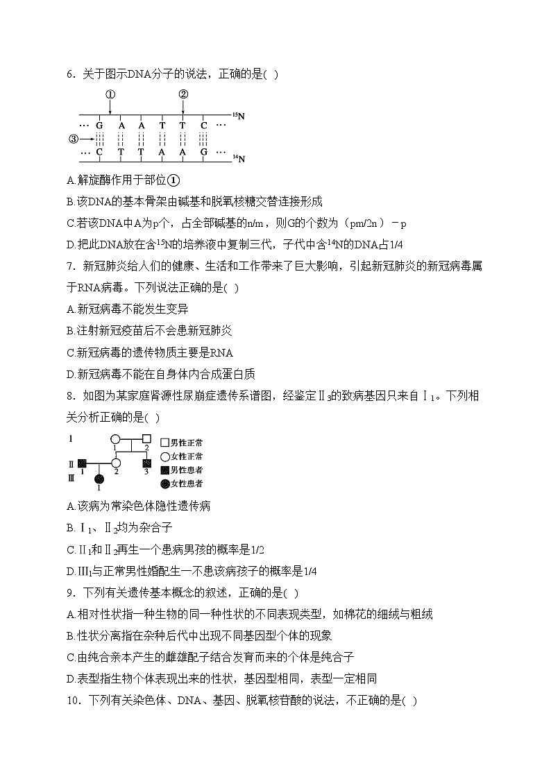 平罗中学2022-2023学年高二上学期11月期中考试生物试卷(含答案)第2页