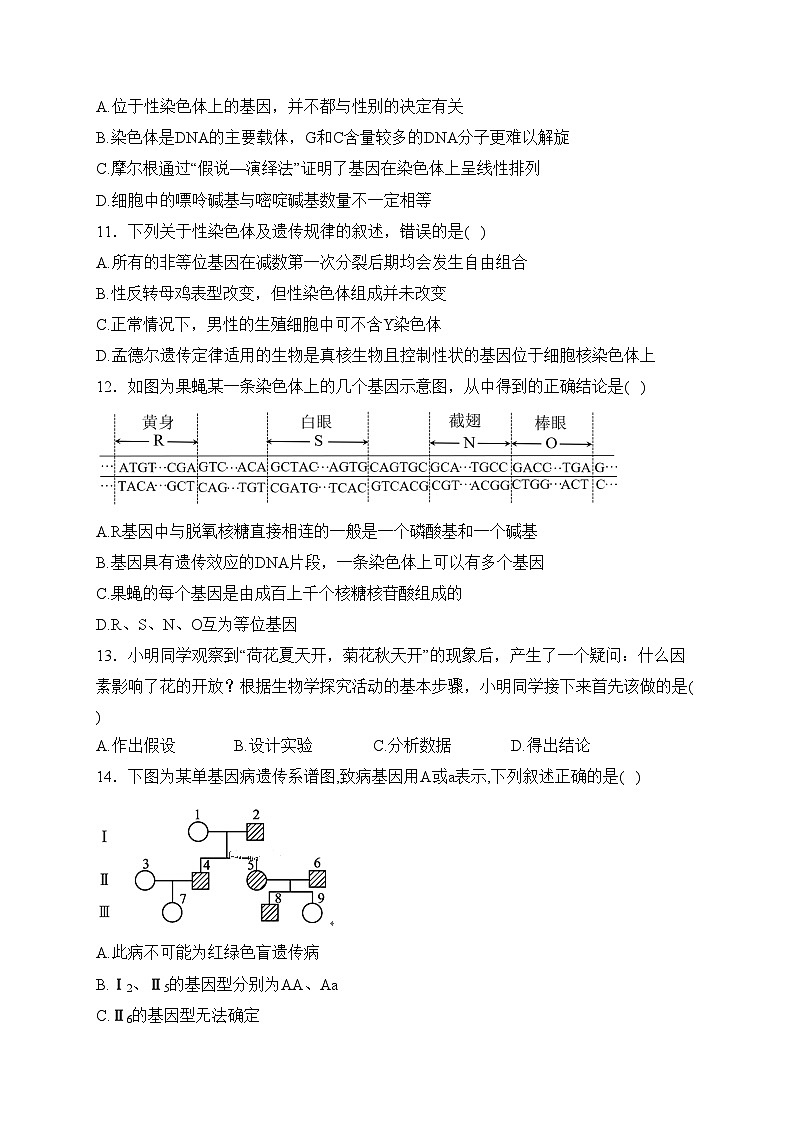 平罗中学2022-2023学年高二上学期11月期中考试生物试卷(含答案)第3页