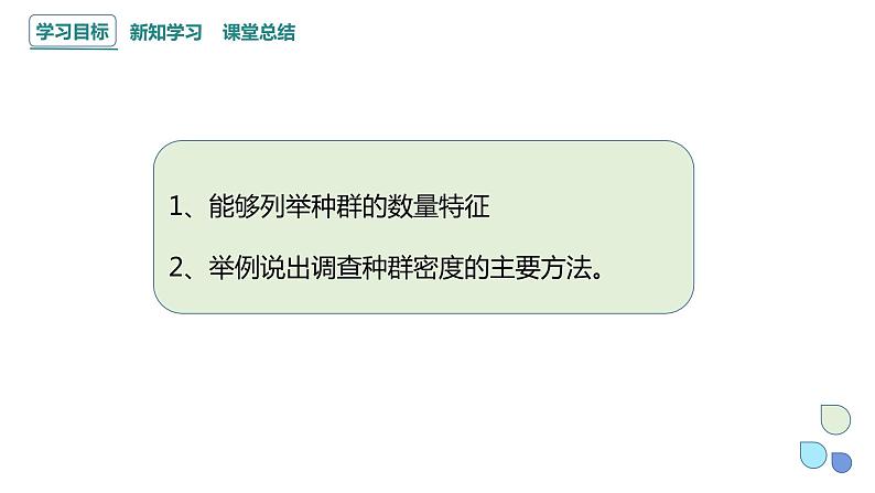 1.1 课时1  种群的数量特征   课件 2023-2024学年高二生物人教版（2019）选择性必修2第2页