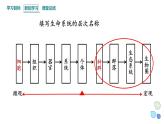 1.1 课时1  种群的数量特征   课件 2023-2024学年高二生物人教版（2019）选择性必修2