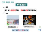 1.1 课时1  种群的数量特征   课件 2023-2024学年高二生物人教版（2019）选择性必修2