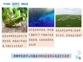 1.1 课时1  种群的数量特征   课件 2023-2024学年高二生物人教版（2019）选择性必修2