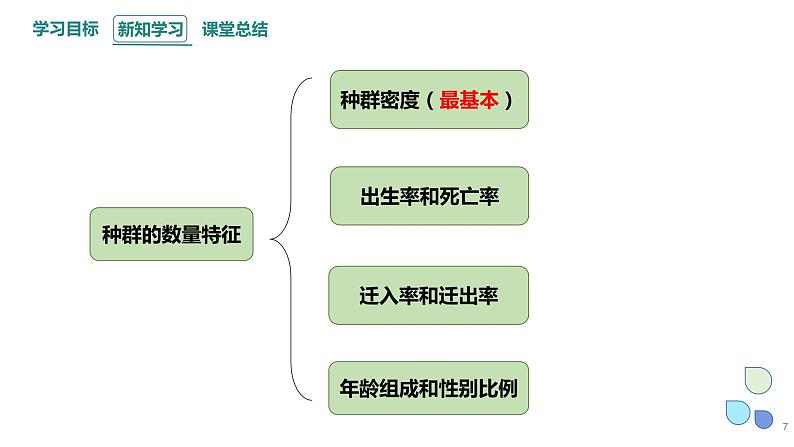 1.1 课时1  种群的数量特征   课件 2023-2024学年高二生物人教版（2019）选择性必修2第7页