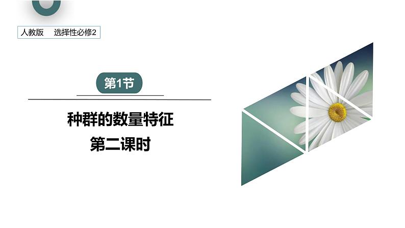 1.1 课时2  种群的数量特征   课件 2023-2024学年高二生物人教版（2019）选择性必修2第1页