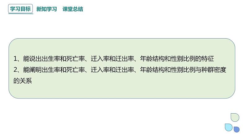 1.1 课时2  种群的数量特征   课件 2023-2024学年高二生物人教版（2019）选择性必修2第2页