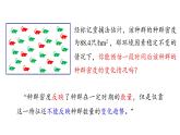 1.1 课时2  种群的数量特征   课件 2023-2024学年高二生物人教版（2019）选择性必修2