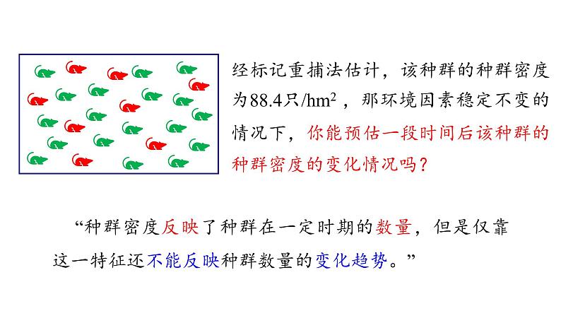 1.1 课时2  种群的数量特征   课件 2023-2024学年高二生物人教版（2019）选择性必修2第3页