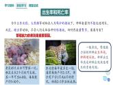 1.1 课时2  种群的数量特征   课件 2023-2024学年高二生物人教版（2019）选择性必修2